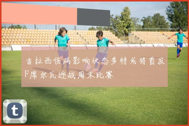 吉拉西伤病影响状态多特或将首发F席尔瓦迎战周末比赛