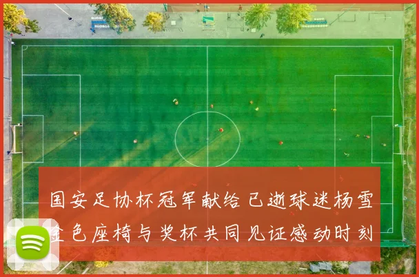 国安足协杯冠军献给已逝球迷杨雪金色座椅与奖杯共同见证感动时刻