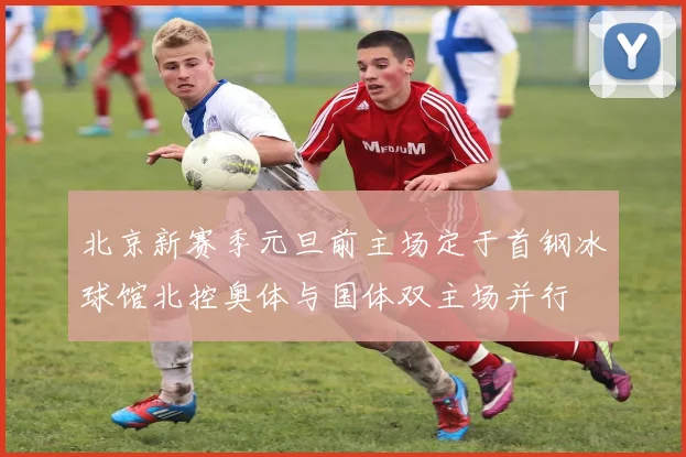 北京新赛季元旦前主场定于首钢冰球馆北控奥体与国体双主场并行