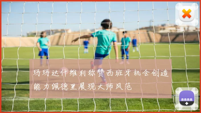 玛玛达什维利称赞西班牙机会创造能力佩德里展现大师风范